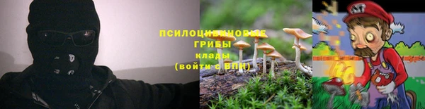 бошки Аркадак