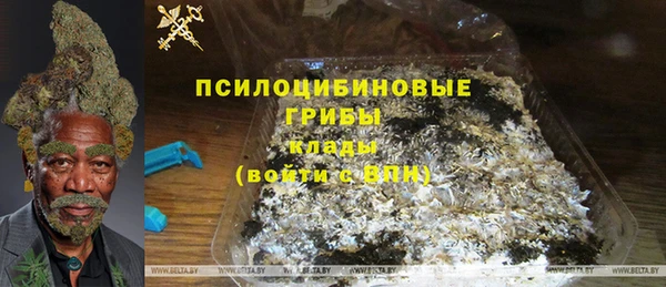 ПСИЛОЦИБИНОВЫЕ ГРИБЫ Армянск